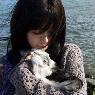 巨浪白鲨鱼